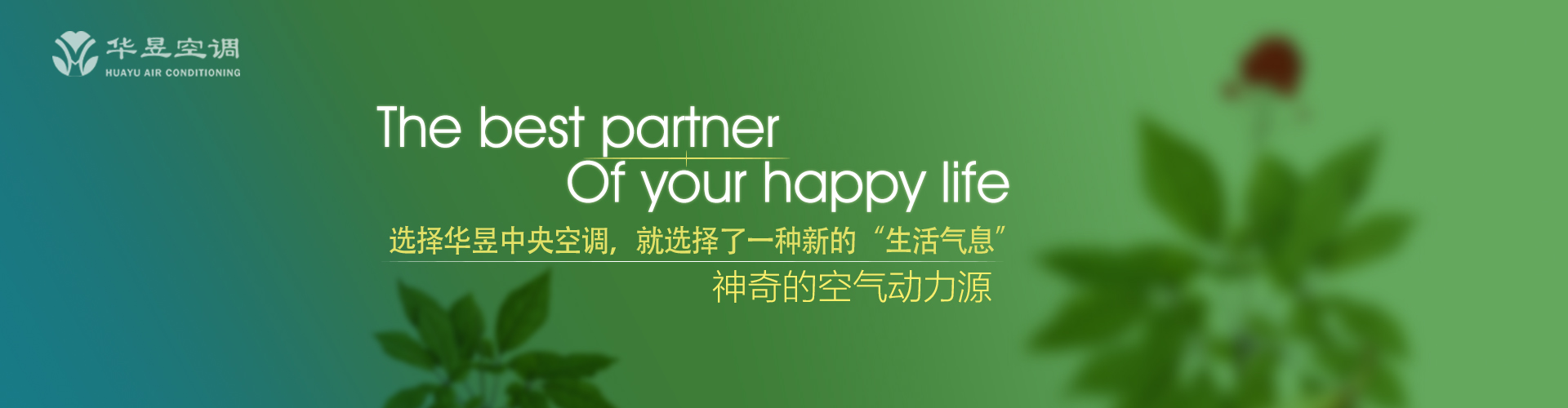 目下十行网